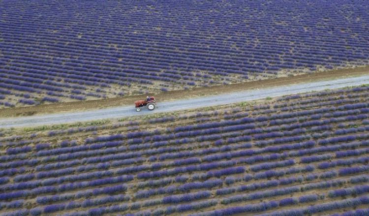 Αίθριος ο καιρός σήμερα – Πού θα βρέξει