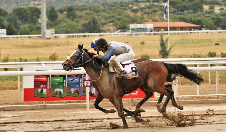 Markopoulo Park: Τέσσερα ΣΚΟΡ και δέκα ιπποδρομίες στη συγκέντρωση της Δευτέρας