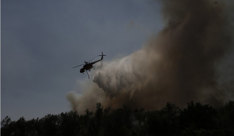 Πυρκαγιά στα Στύρα Ευβοίας – Καίει δασική έκταση 2