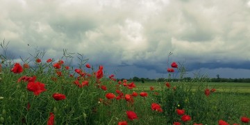 (Φωτ. αρχείου: pixabay.com)