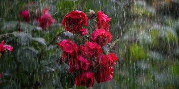 Καιρός: Μικρή πτώση της θερμοκρασίας σήμερα – Πού θα βρέξει 2