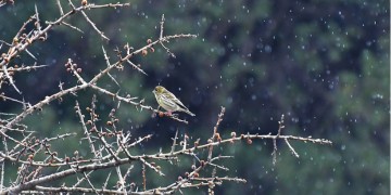 (Φωτ.: pixabay.com)