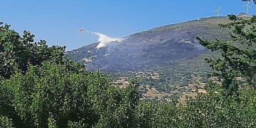 Σε ύφεση η φωτιά στην Κάρυστο – Διερευνάται το ενδεχόμενο του εμπρησμού