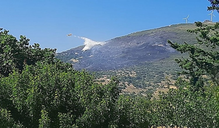 Σε ύφεση η φωτιά στην Κάρυστο – Διερευνάται το ενδεχόμενο του εμπρησμού