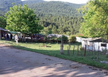 Άρωμα Ματσούκας στα παρχάρια του Αγίου Δημητρίου Κοζάνης (βίντεο)