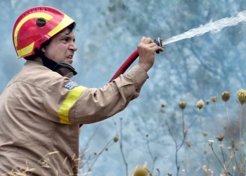 Φωτιά στον κάμπο του Μελιγαλά – Ενισχύθηκαν οι δυνάμεις