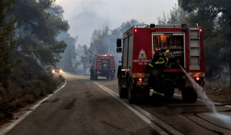 Δασική πυρκαγιά στη Σιθωνία Χαλκιδικής (βίντεο) 2