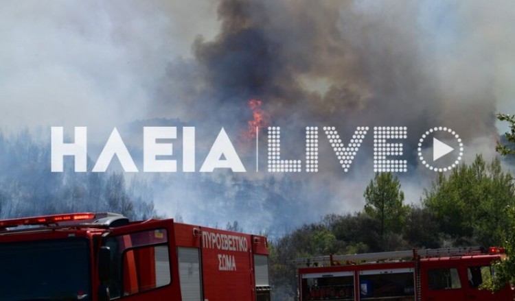Απόγνωση στην Ηλεία με τη φωτιά – Απειλούνται χωριά (βίντεο)
