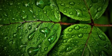 Καιρός: Μικρή πτώση της θερμοκρασίας σήμερα – Πού θα βρέξει 3