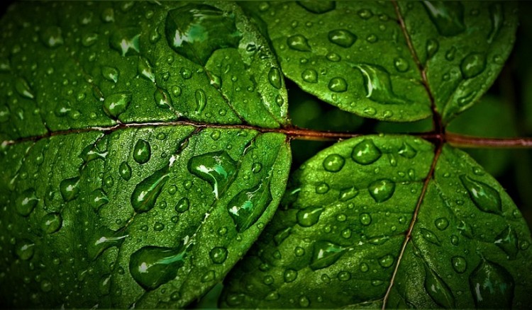 Καιρός: Μικρή πτώση της θερμοκρασίας σήμερα – Πού θα βρέξει 3