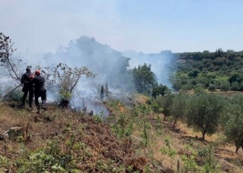 Υπό έλεγχο η φωτιά στην Κάτω Αχαΐα – Κάηκαν 60 στρέμματα