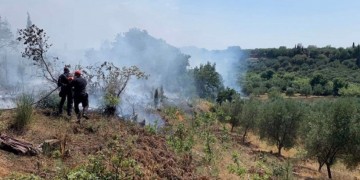 Υπό έλεγχο η φωτιά στην Κάτω Αχαΐα – Κάηκαν 60 στρέμματα