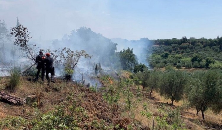 Υπό έλεγχο η φωτιά στην Κάτω Αχαΐα – Κάηκαν 60 στρέμματα