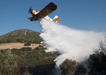 Φωτιά στο Δίστομο Βοιωτίας 4