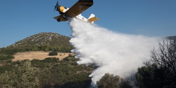 Φωτιά στο Δίστομο Βοιωτίας 4