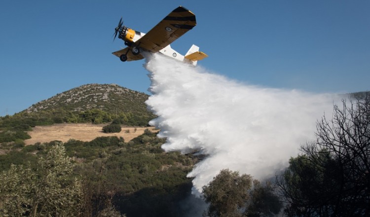Φωτιά στο Δίστομο Βοιωτίας 4