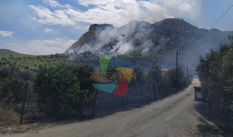 Φωτιά στις Κεχριές Κορινθίας – Εκκενώθηκε κατασκήνωση (βίντεο)