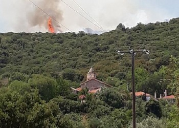 Φωτιά στο Δίστομο Βοιωτίας 3
