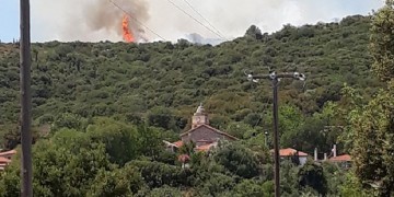 Φωτιά στο Δίστομο Βοιωτίας 3
