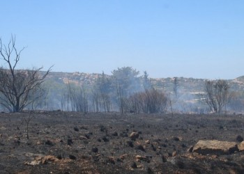 Σε ύφεση η φωτιά στις Κεραμειές Κεφαλονιάς