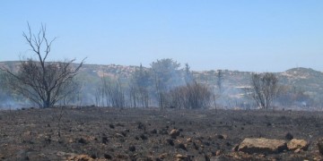 Σε ύφεση η φωτιά στις Κεραμειές Κεφαλονιάς