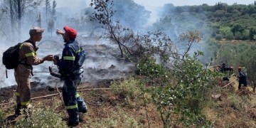 Μεγάλη φωτιά στην Κάτω Αχαΐα (βίντεο)