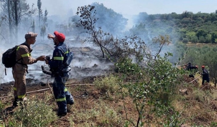 Μεγάλη φωτιά στην Κάτω Αχαΐα (βίντεο)