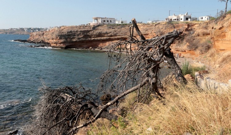 Φονική πυρκαγιά στο Μάτι: «Όχι» του εισαγγελέα σε κακουργηματική δίωξη