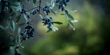 Αλλάζει ο καιρός: Βροχές και πτώση της θερμοκρασίας