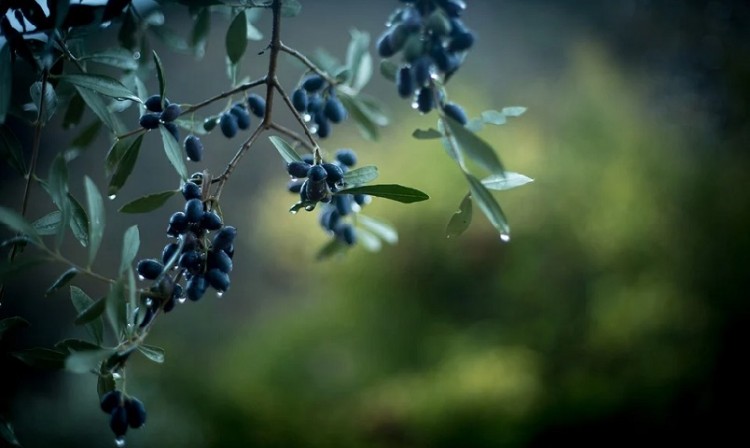 Αλλάζει ο καιρός: Βροχές και πτώση της θερμοκρασίας