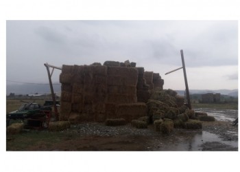 Πλημμυρικά φαινόμενα σε περιοχές της Ελασσόνας