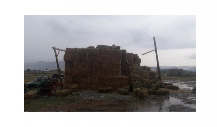 Πλημμυρικά φαινόμενα σε περιοχές της Ελασσόνας