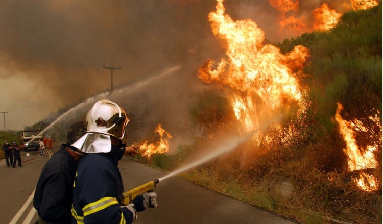 Πυρκαγιά σε δασική έκταση στο Πόρτο Γερμενό
