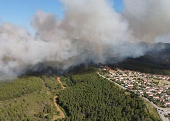 Φωτιά στις Σάπες Ροδόπης, κοντά σε σπίτια (φωτο)