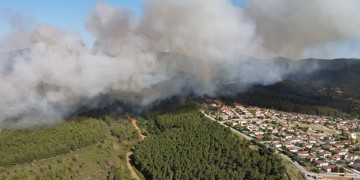 Φωτιά στις Σάπες Ροδόπης, κοντά σε σπίτια (φωτο)
