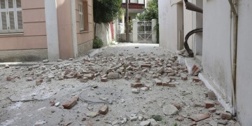 Σεισμός, έκτη αίσθηση και ζώα – Τι λέει η Επιστήμη