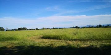 Θεσσαλία: Πρόβλημα διάβρωσης αντιμετωπίζουν εδάφη στην πεδιάδα