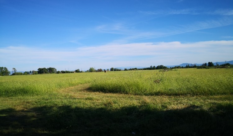 Θεσσαλία: Πρόβλημα διάβρωσης αντιμετωπίζουν εδάφη στην πεδιάδα