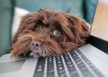 Τηλεργασία: Για πρώτη φορά καθορίζεται το θεσμικό και νομικό πλαίσιό της