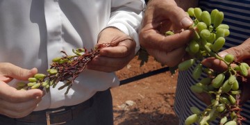 Την Τετάρτη η εξόφληση οφειλών του ΕΛΓΑ