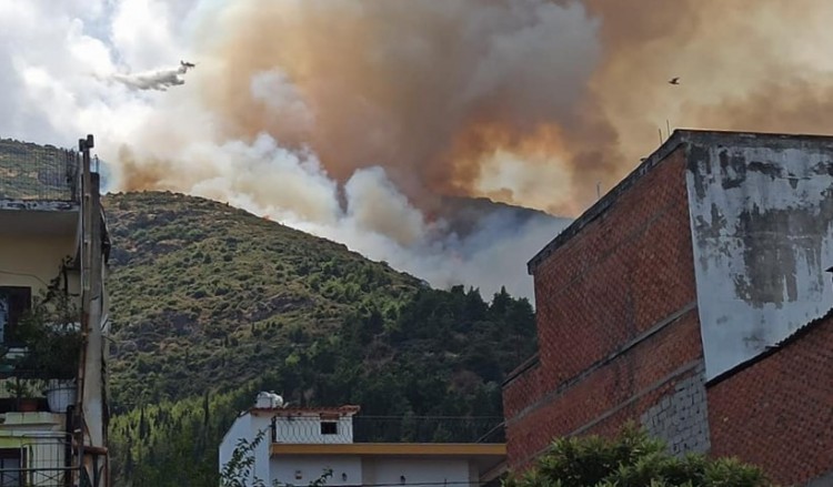Μεγάλη φωτιά στην Αταλάντη Φθιώτιδας (φωτο, βίντεο)