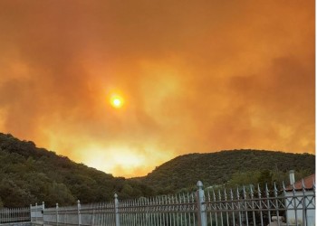 Φωτιά στην Ανατολική Μάνη: Τιτάνιος αγώνας με τις φλόγες από τις πυροσβεστικές δυνάμεις (βίντεο)