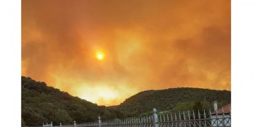 Φωτιά στην Ανατολική Μάνη: Τιτάνιος αγώνας με τις φλόγες από τις πυροσβεστικές δυνάμεις (βίντεο)