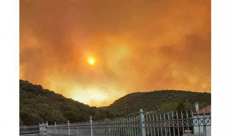 Φωτιά στην Ανατολική Μάνη: Τιτάνιος αγώνας με τις φλόγες από τις πυροσβεστικές δυνάμεις (βίντεο)