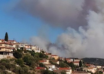 Φωτιά στην Ανατολική Μάνη: Ενισχύθηκαν οι πυροσβεστικές δυνάμεις