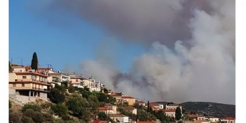 Φωτιά στην Ανατολική Μάνη: Ενισχύθηκαν οι πυροσβεστικές δυνάμεις