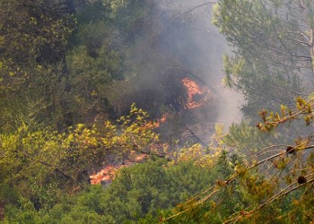 Πυρκαγιά στα Στύρα της Εύβοιας – Καίει δασική έκταση