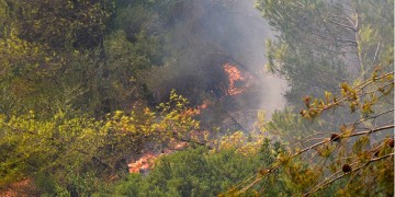 Πυρκαγιά στα Στύρα της Εύβοιας – Καίει δασική έκταση