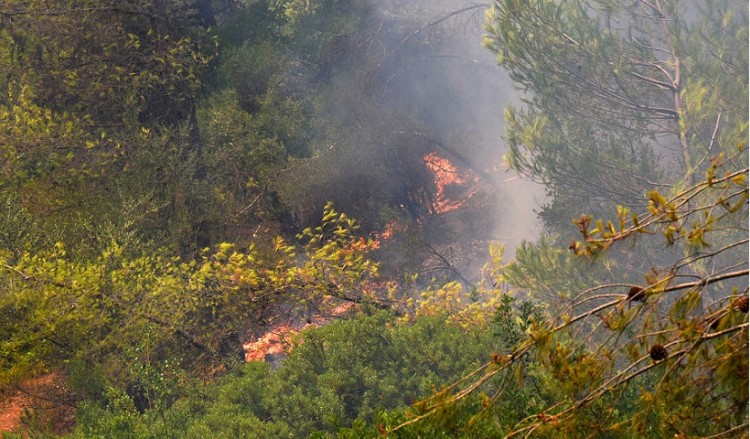 Πυρκαγιά στα Στύρα της Εύβοιας – Καίει δασική έκταση