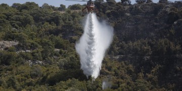 Φωτιά στην Εύβοια, σε δασική περιοχή